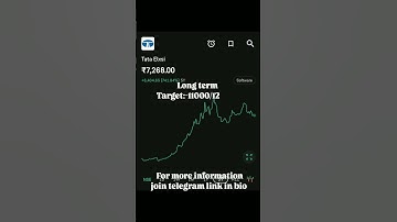 Tata Elxsi Investment