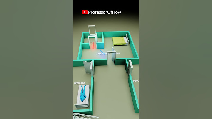 Saif Ali Khan Attack (3D Animation) - By Professor Of How