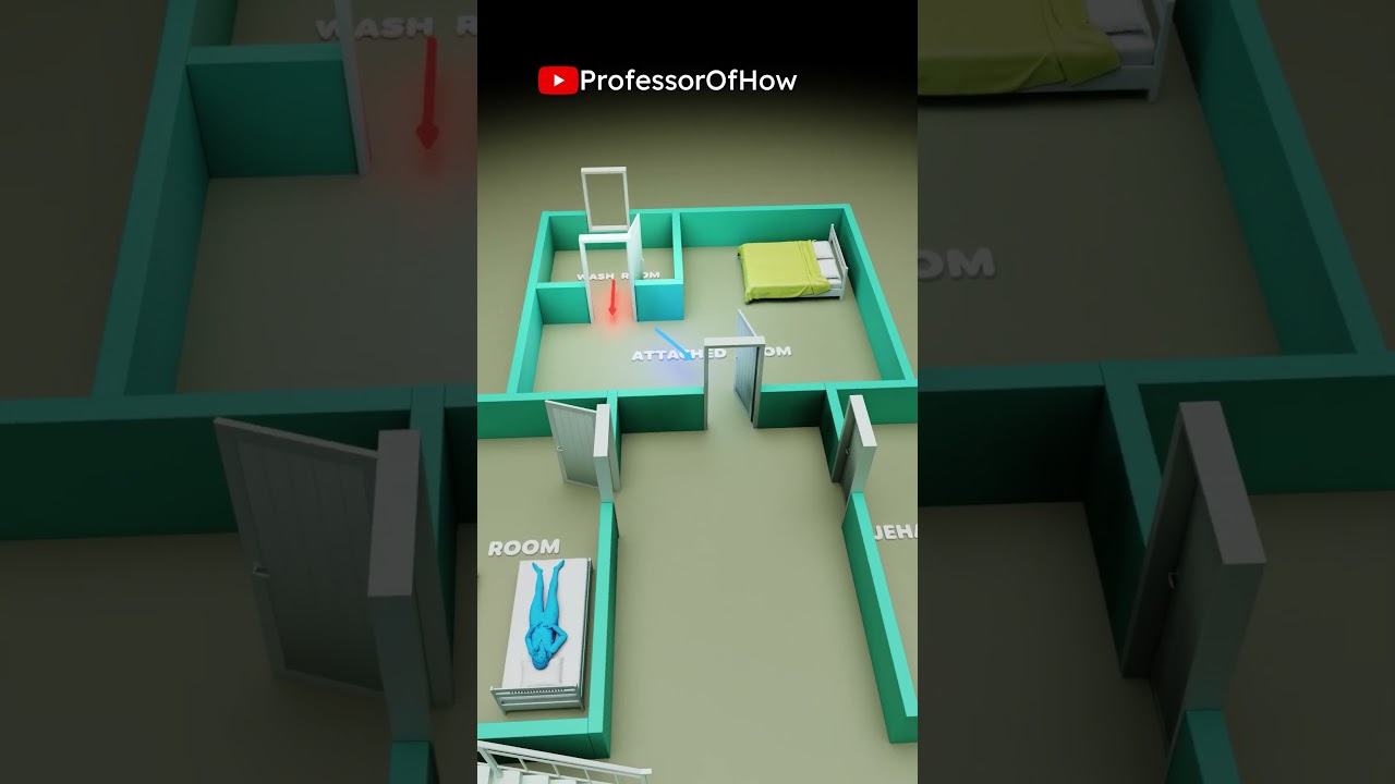 Saif Ali Khan Attack (3D Animation) - By Professor Of How