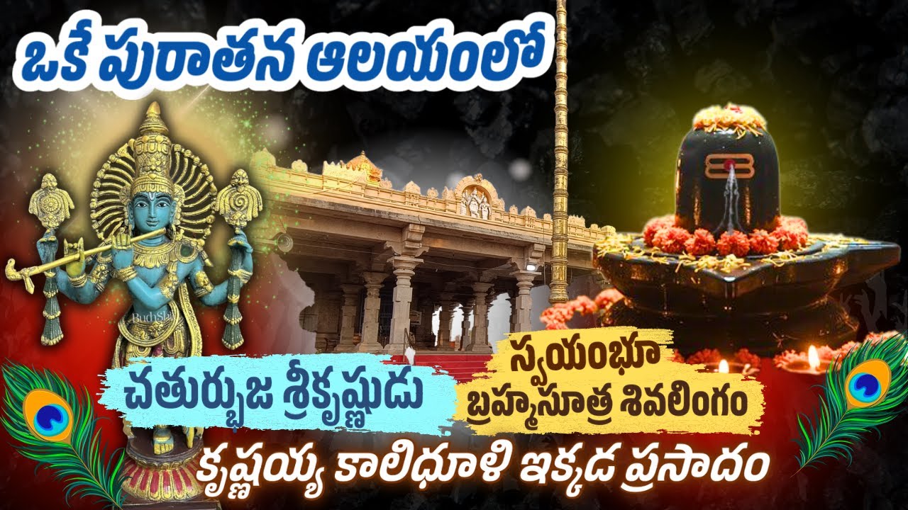 కృష్ణ‌య్య‌ మరియు బ్ర‌హ్మ‌సూత్ర శివ‌లింగం ఒకే ఆలయంలో |  రాత్రిళ్ళు సంచారం | గోపాలుడి కాలిధూళే ప్రసాదం