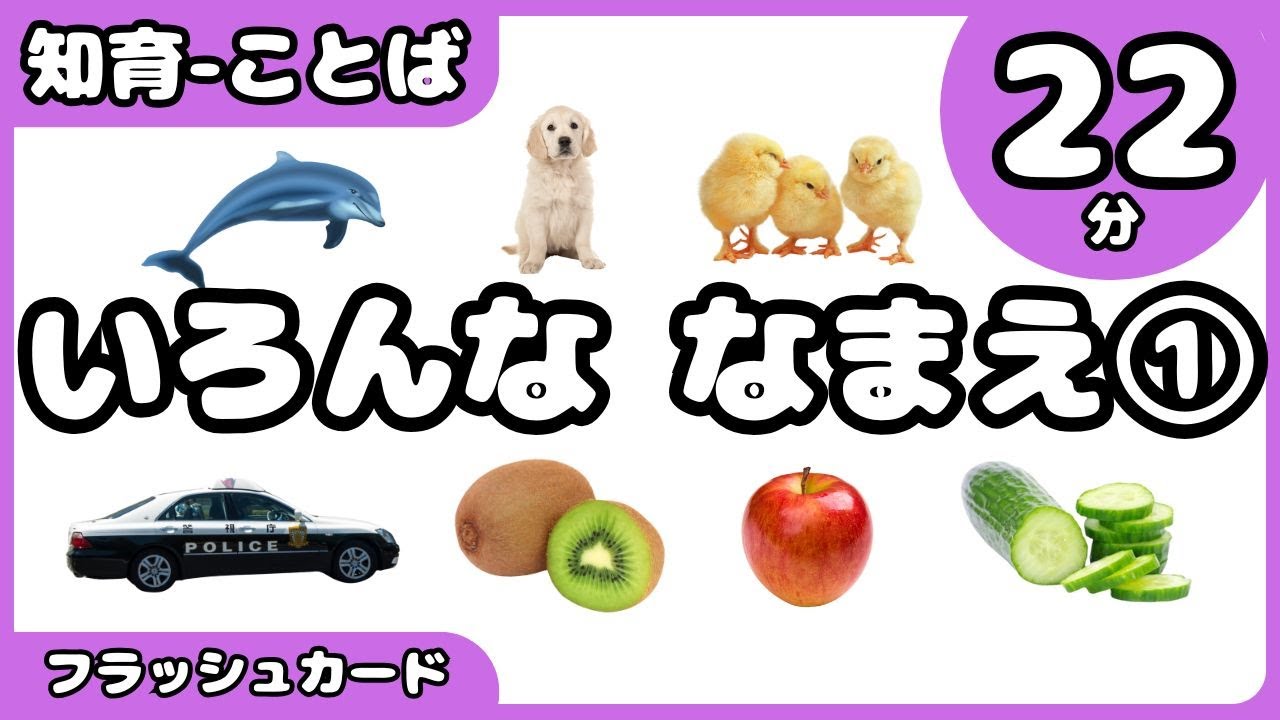 【いろんな名前 まとめ①】子どもが夢中！楽しく学べるフラッシュカード！幼児向け知育動画