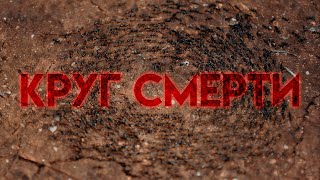 КРУГ СМЕРТИ — Искусственный интеллект объяснил загадочное кружение муравьёв и животных