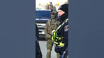 Military Police Shorts 