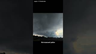 Смерч в Беларуси / #новостибеларуси