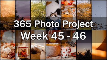 Enjoying the Last Colors of Autumn 🍂🍁 Week 45 & 46 - 365 Photo Vlog