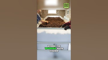Cheap Continuous Flow Vermicomposting with Wedges! #vermicomposting #business  #composting