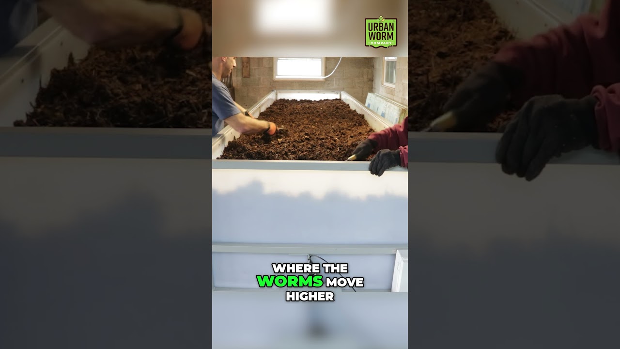 Cheap Continuous Flow Vermicomposting with Wedges! 