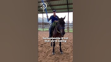 Quick Tips On Desensitizing Your Horse With A Pool Noodle! Part 1! | The Horse Guru - Michael Gascon