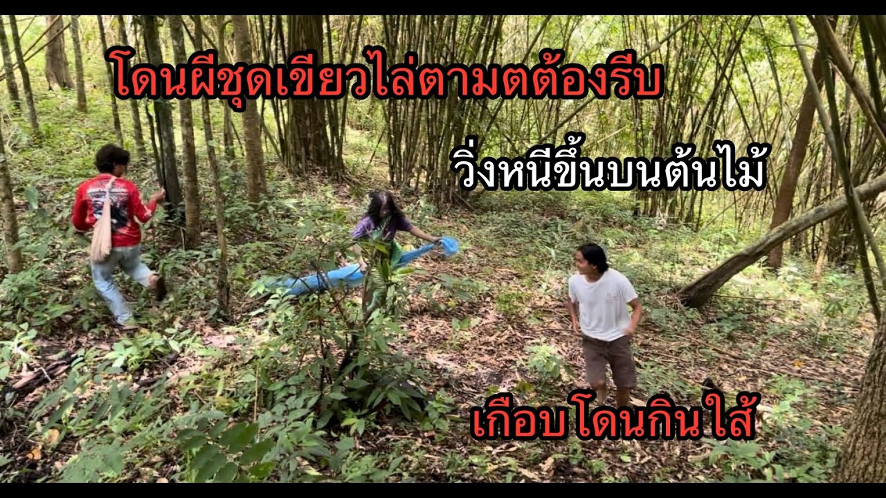 โดนผีไทยชุดเขียวไล่ตามรีบวิ่งหนีขึ้นบนต้นไม้มันต้องการอะไร.??