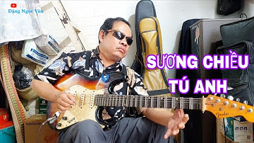 Độc tấu Sương Chiều Tú Anh - Hữu Hạnh