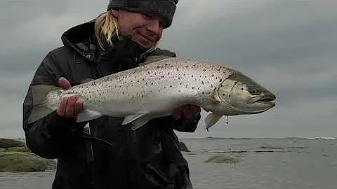 Sea Trout Fishing - Exploring New Spot