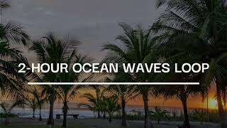 2-h Seamless Loop of Pacific Ocean Waves