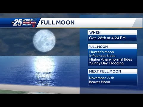 When is the next full moon? What to know about October's 'Hunter's Moon' –  NBC Chicago