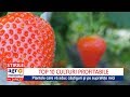 Top 10 cele mai profitabile culturi agricole