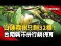 白蓮霧樹銳減僅剩32棵！新市拚行銷保育｜#寰宇新聞 @globalnewstw