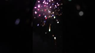 IMG 5005