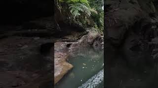 Download Lagu Gulamo River boat ride | Indonesia's Green Canyon in Kampar, Riau, Indonesia | Credits - Lenny MP3