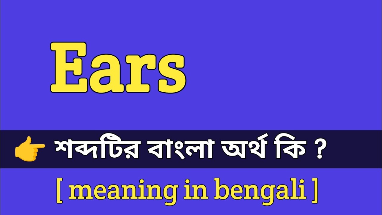Ears Meaning In Bengali With Example Ears ears-meaning-in-bengali-with-example-ears