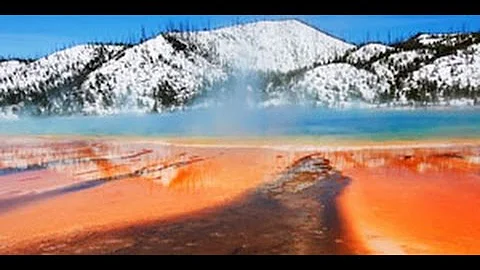 Evolution of Complexity and Intelligence on Earth