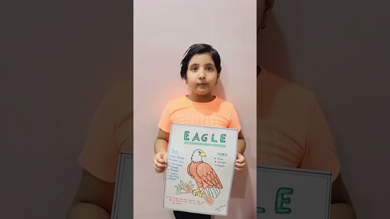 Few lines on Eagle for class 3 presentation | Birds- Eagle 