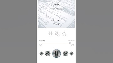 سوره الضحى بصوت الشيخ ماهر المعيقلي