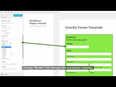 Easiest Way to Add Border of Text Field within Gravity Forms