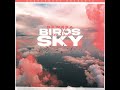 Birds In The Sky - NEW ERA (FULL VERSION)
