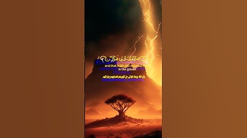 ذلك بأن الله هو الحق 🌺 تلاوة خاشعة من سورة الحج 🌺 للقارئ عبد الرحمن مسعد