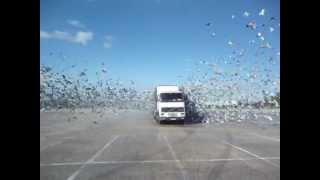 Solta em Santarém, 23/02/2013