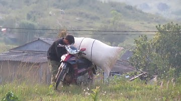 Mùa gặt Tây Bắc - Cuộc sống bình yên quá!