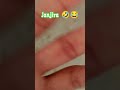 janjira #comedy #fly #love #trend #video #funny #comedy #ytshorts