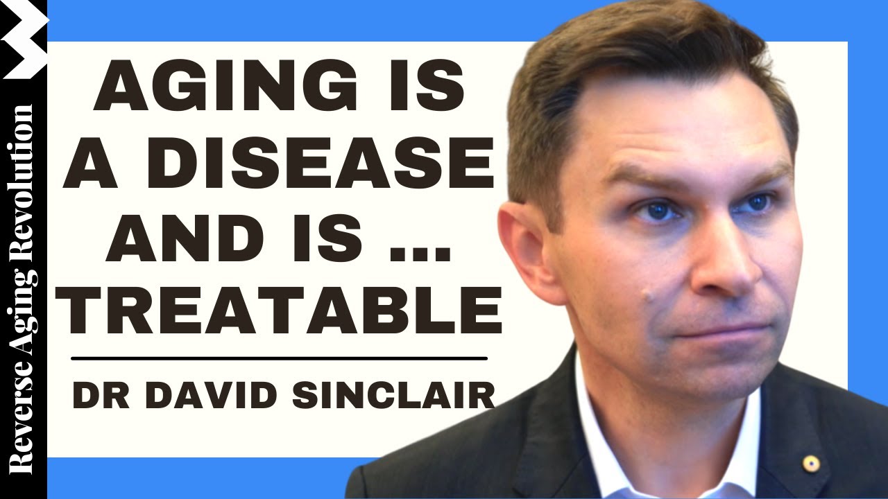 DAVID SINCLAIR "AGING IS TREATABLE" DAVID SINCLAIR INTERVIEW CLIPS