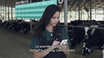 SCR ProCalve Application - French Subtitles