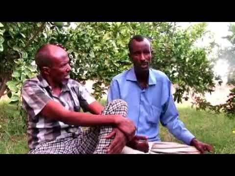 Allahayoow Magaalada Maxaa Wax Isku Muuqmuuqda Sooraan Alle Ha U Naxariisto