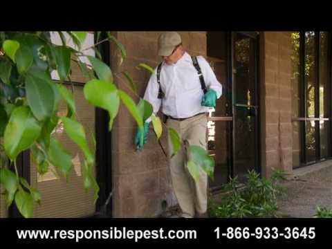 responsible pest control san jose mesa pest control responsible az youtube responsible pest control san jose mesa pest control responsible az youtube
