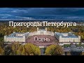 Пригороды Петербурга — Осень