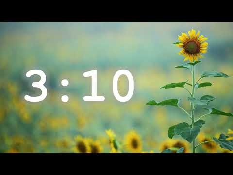 4 Minute Timer (Calm Music)