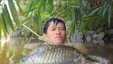 Bắt Cá Bên Dòng Suối Sâu Thử Thách Sinh Tồn Một Mình Trong Rừng