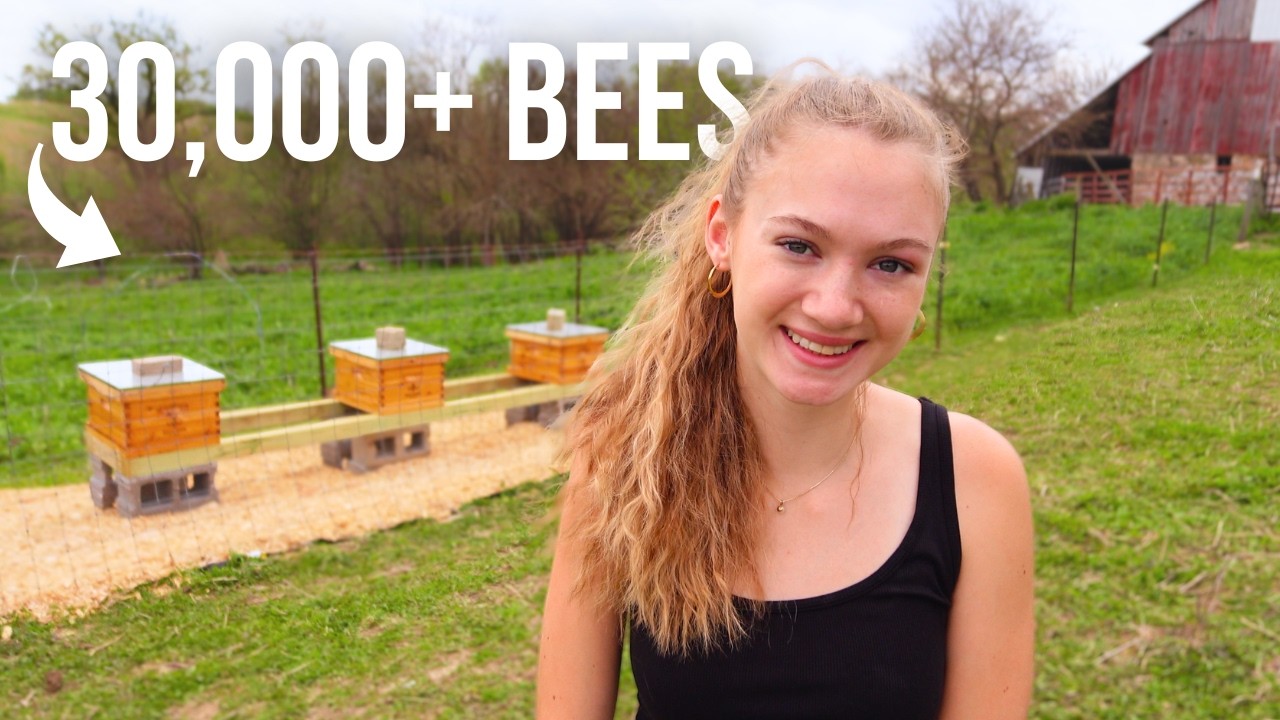 New Addition to the Farm… We got BEES!! - YouTube