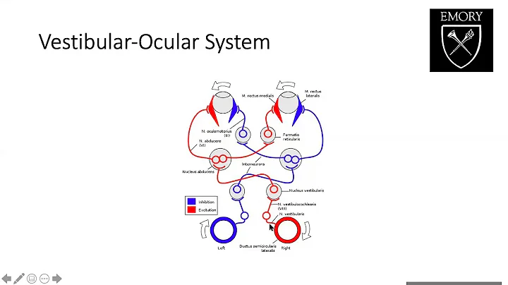 Surgery for vertigo - Dr. Douglas Mattox