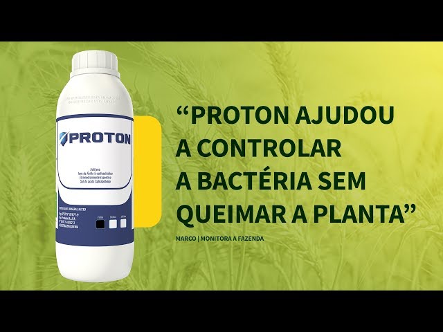 Proton ajudou a controlar a bactéria sem queimar a planta