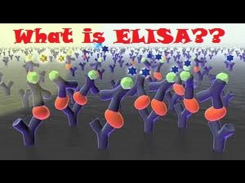 elisa enzyme linked immunosorbent assay overview animation youtube enzyme linked immunosorbent assay