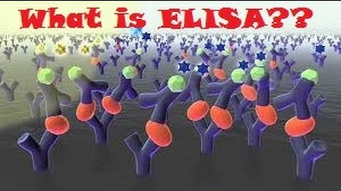 ELISA (Enzyme Linked Immunosorbent  Assay) Overview ~ Animation