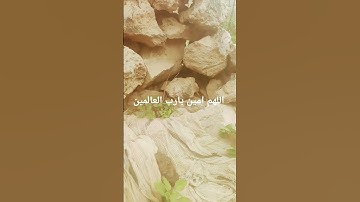 #egzonibrahimi #سورة_الإخلاص #ikhlas #تلاوة_خاشعة #اكسبلور #الرحمن #اسلام_صبحي #لايك #الظروف #دويتو