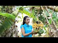 Cooking crispy fried banana in my homeland - Polin Lifestyle