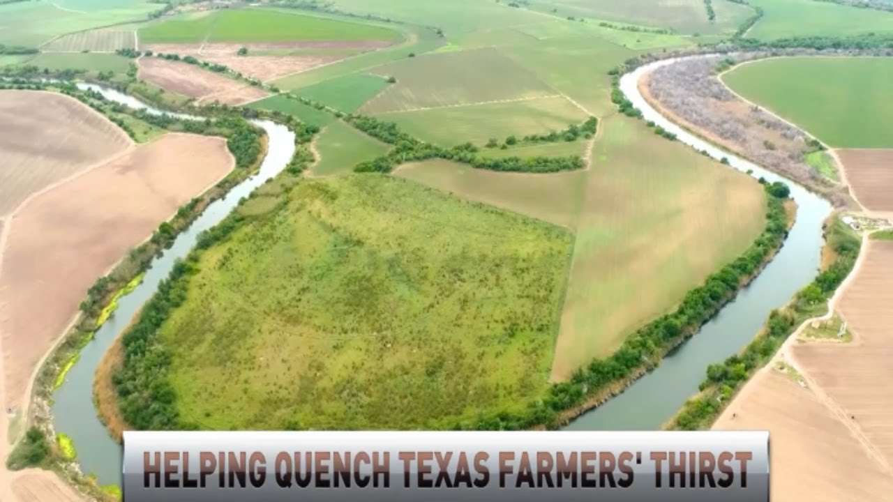 Texas Ag Commissioner weighs in on USDA’s plan to help producers ...