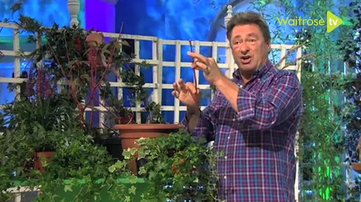 How to take hardwood cuttings - Waitrose Garden