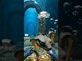 ”“Don’t Touch This Treasure 🐍💰”#explore #underwater #nature #shorts