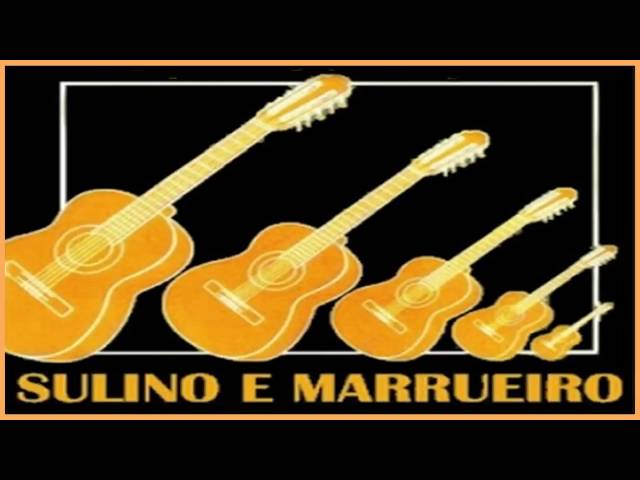 velho peão _ Sulino e Marrueiro #modaoraiz #tiaocarreiro