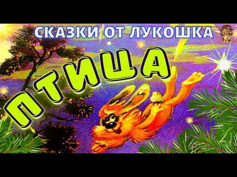 Птица Сказка | Сергей Козлов | Трям Здравствуйте | Сказки Про Медвежонка И Ёжика | Книги Онлай